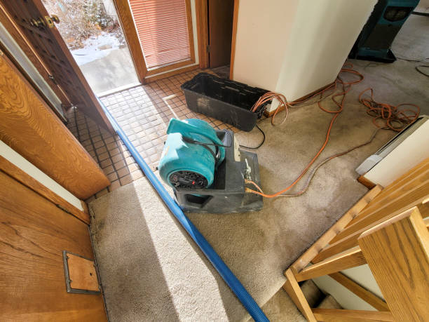 Best Flood restoration services  in Dorothy, NJ