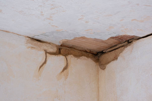 Best Water damage cleanup near me  in Dorothy, NJ