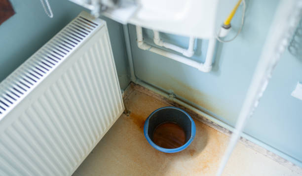 Best Water damage contractors near me  in Dorothy, NJ