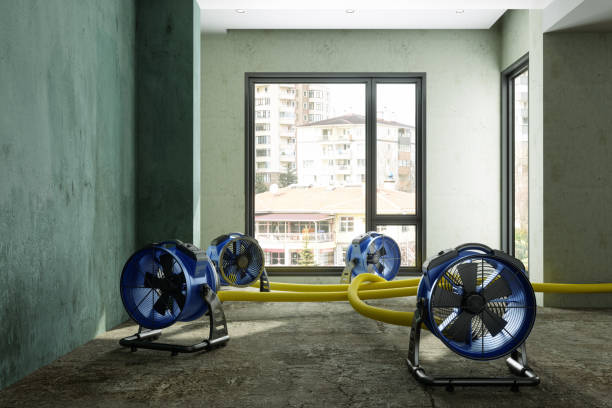 Best 24/7 water damage repair  in Dorothy, NJ