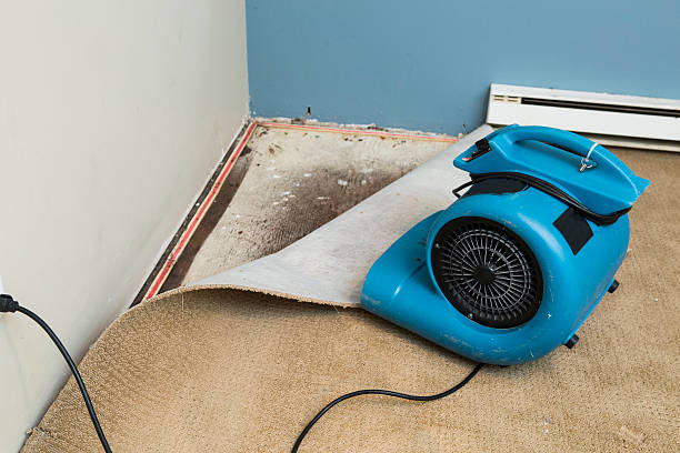 Water damage restoration process in NJ